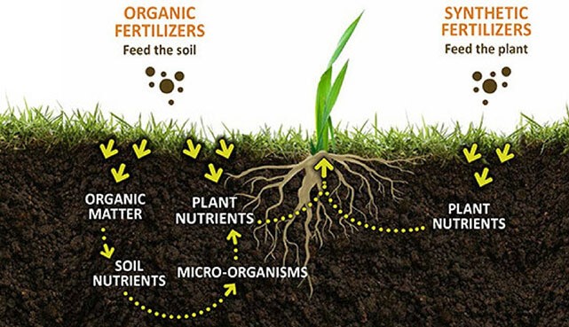 Esta imagem possuí um atributo alt vazio; O nome do arquivo é organic-fertilizer.jpg